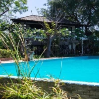 Swimming Pool Surrounds Landscaping 2